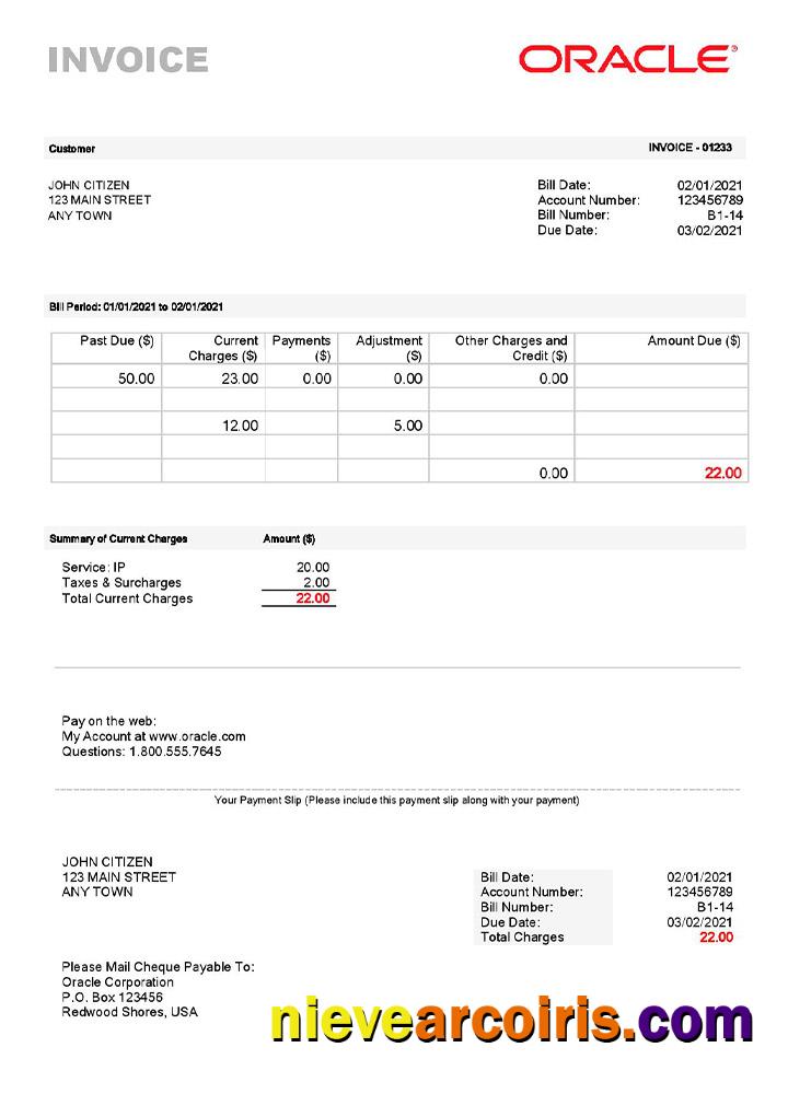 USA Oracle invoice